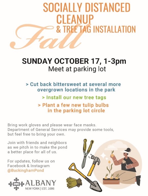 SUNDAY OCTOBER 17, 1-3pm Meet at parking lot Bring work gloves and please wear face masks. Department of General Services may provide some tools, but feel free to bring your own. * Cut back bittersweet at several more overgrown locations in the park * Install our new tree tags * Plant a few new tulip bulbs in the parking lot circle Join with friends and neighbors as we pitch in to make the pond a better place for all of us. For updates, follow us on Facebook & Instagram @BuckinghamPond