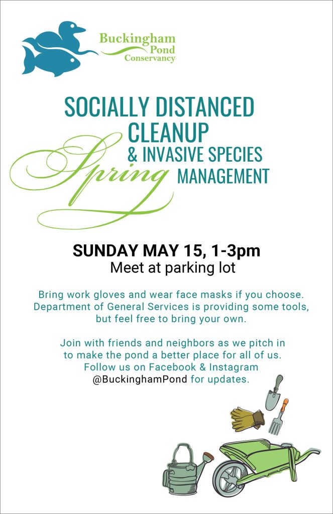 May 15th Socially Distanced Cleanup