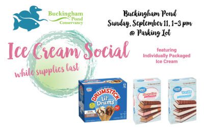 2022 Ice Cream Social & Updates on Park Maintenance
