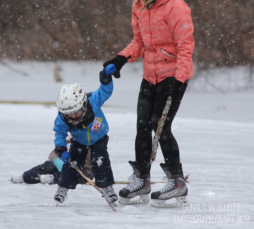 Buckingham Pond ice skating party