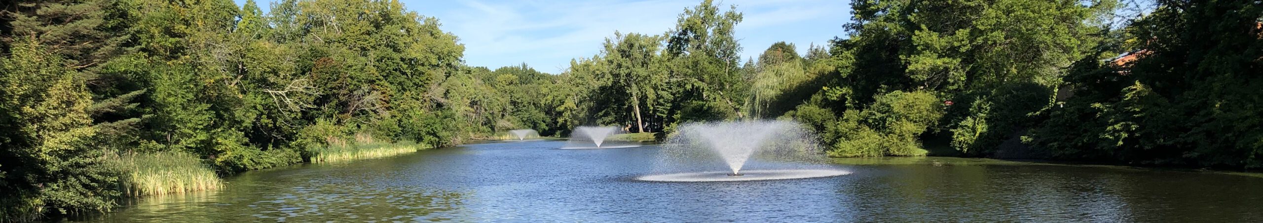 Buckingham Pond, About the Pond Hero Image