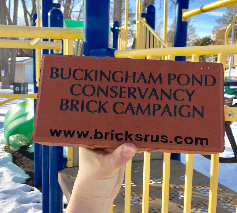 Buckingham Pond fundraising
