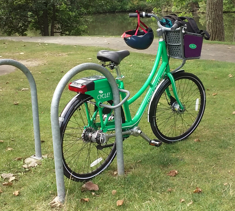 Buckingham Pond bike rack