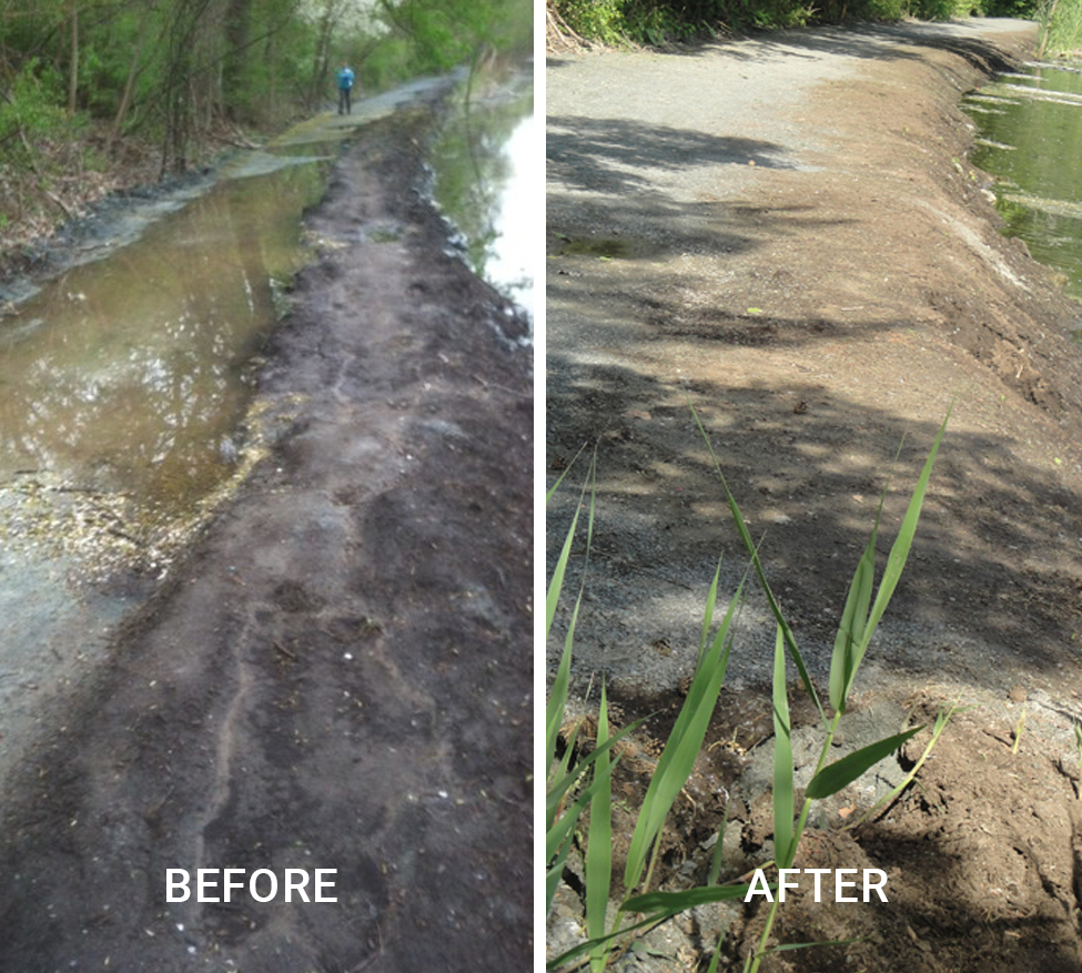 Buckingham Pond shoreline stabilization