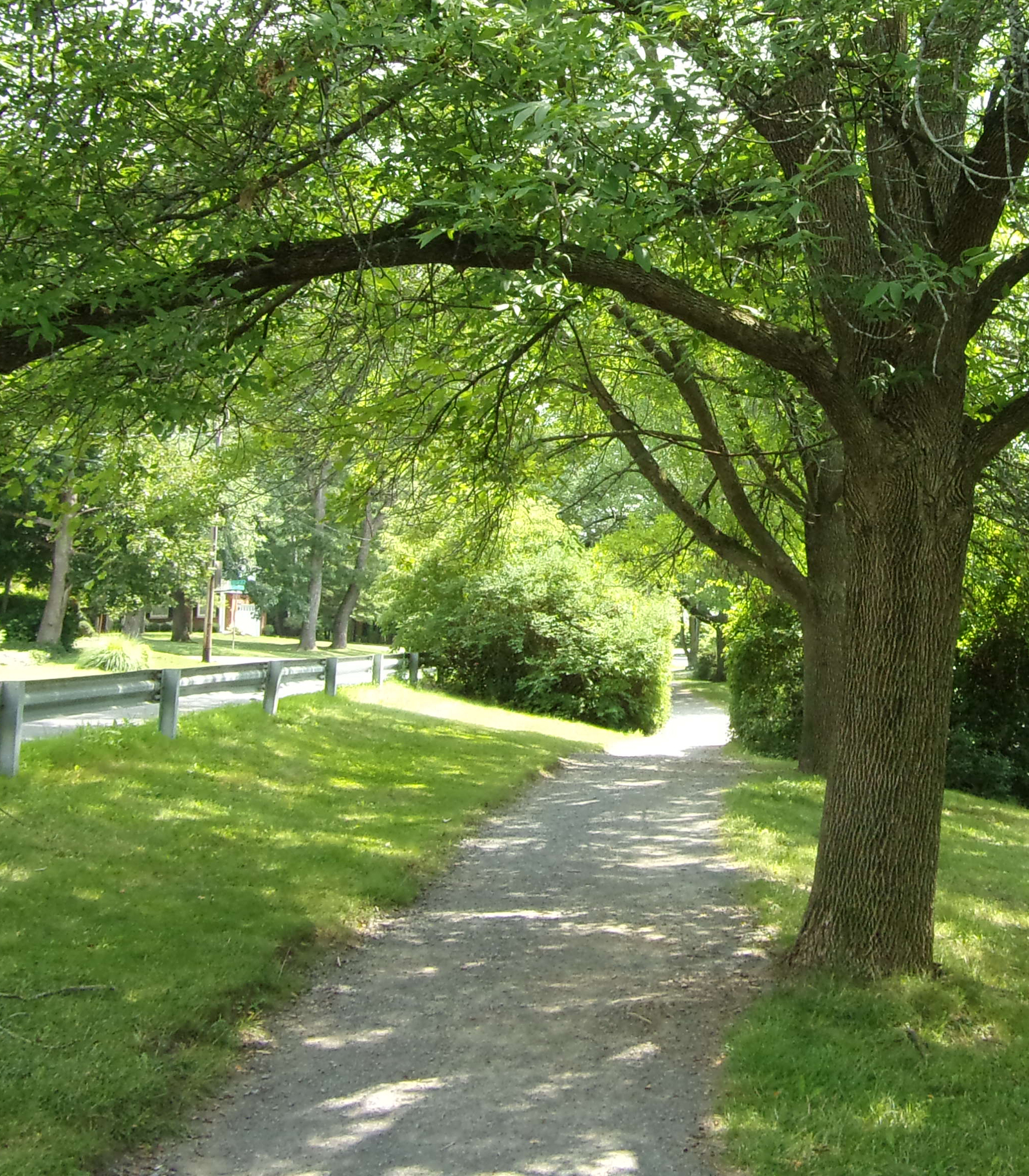 The Path at Buckingham Pond