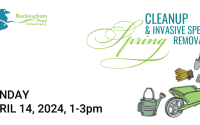 2024 Spring Cleanup – Save the Date