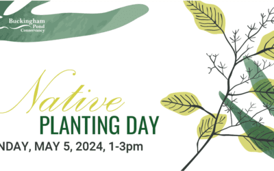 2024 Native Planting Day – Save the Date