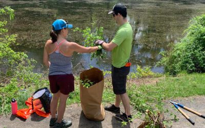 2025 Spring Cleanup – Save the Date