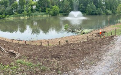 Planting Volunteers Needed