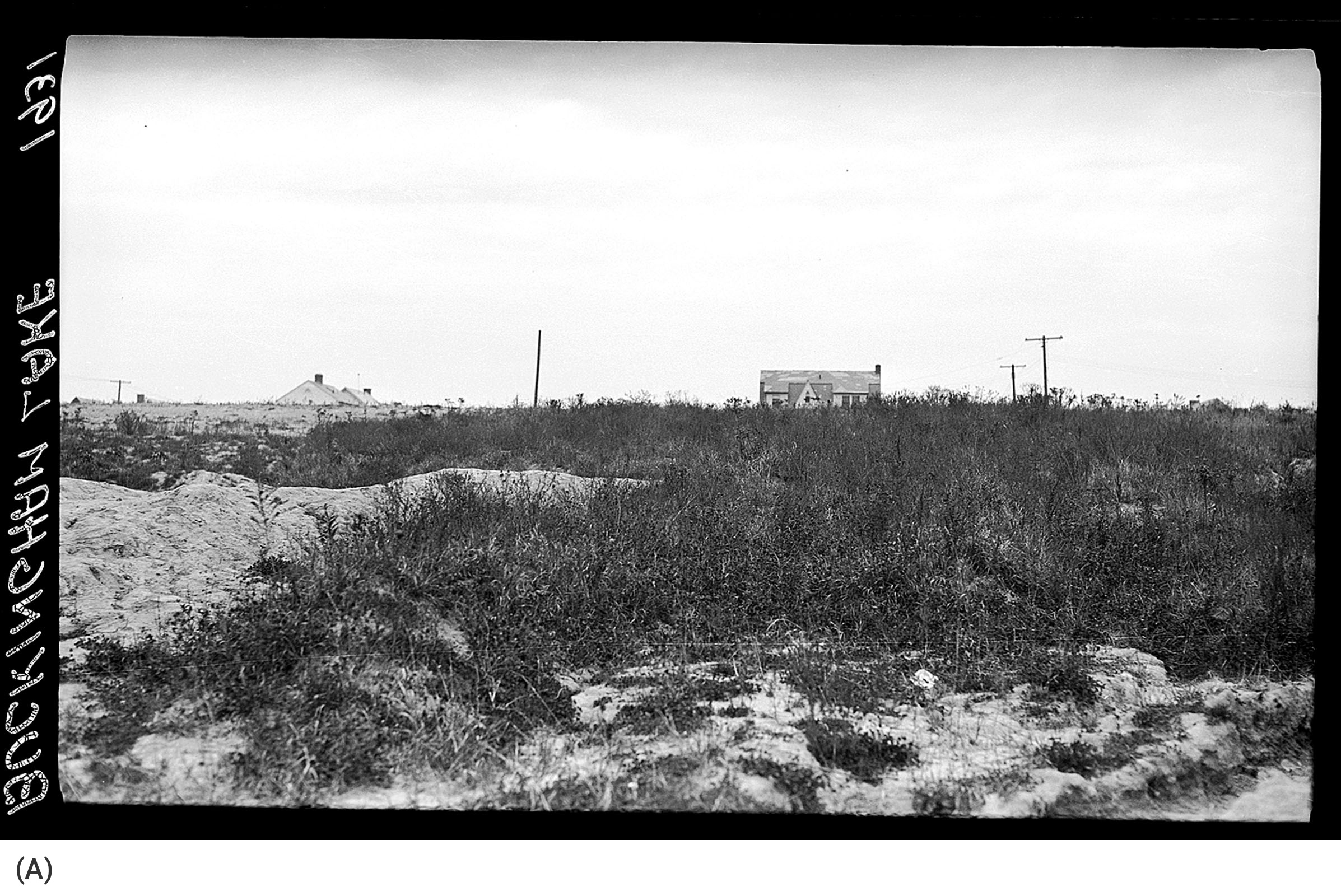 Buckingham Pond 1931, Bureau of Engineering (A)