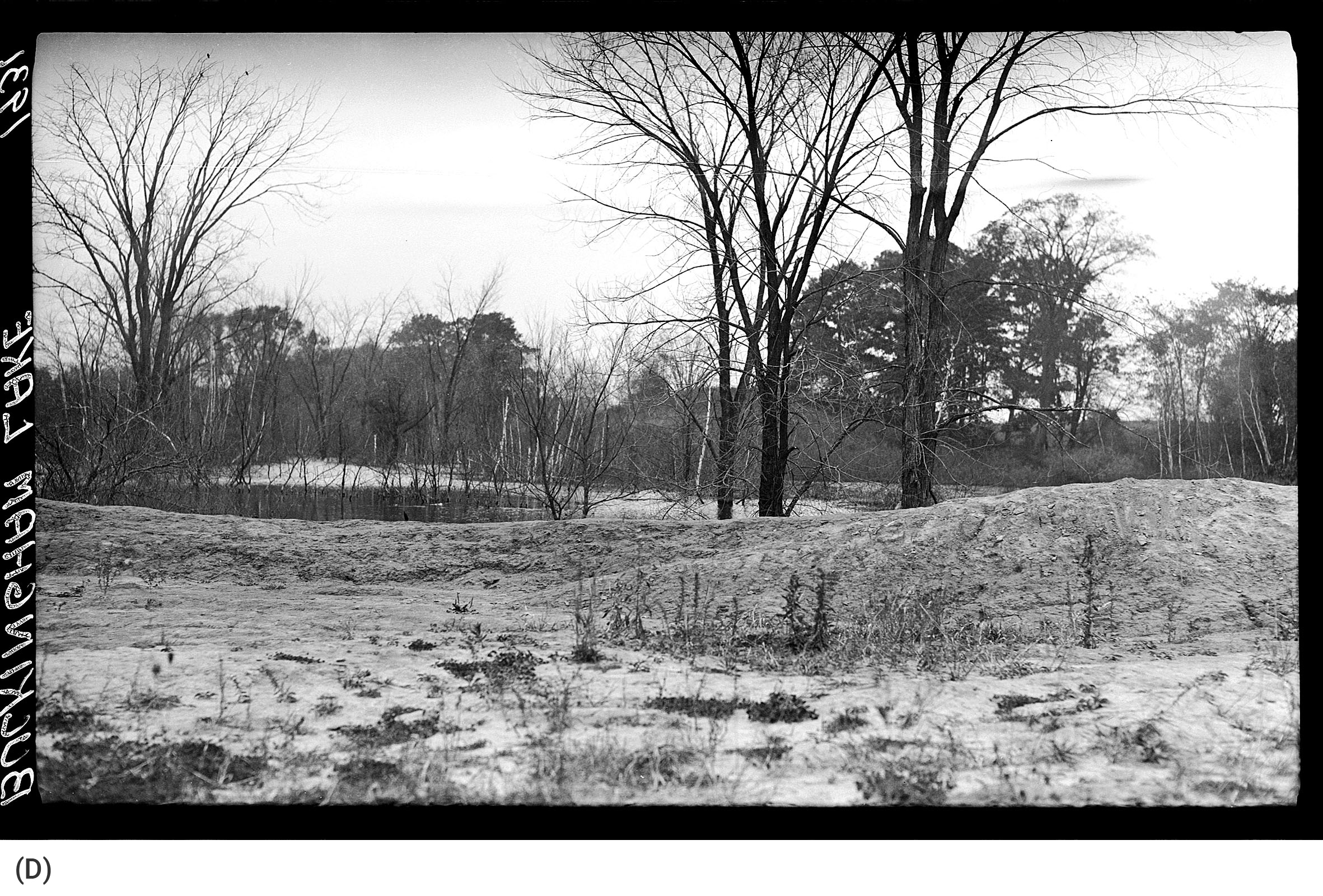 Buckingham Pond 1931, Bureau of Engineering (D)