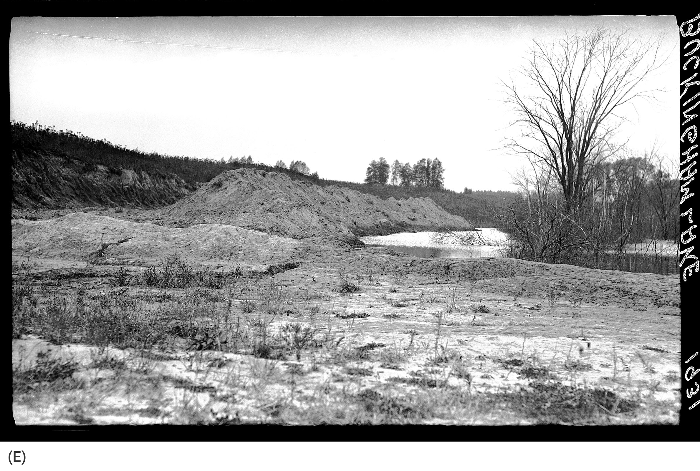 Buckingham Pond 1931, Bureau of Engineering (E)