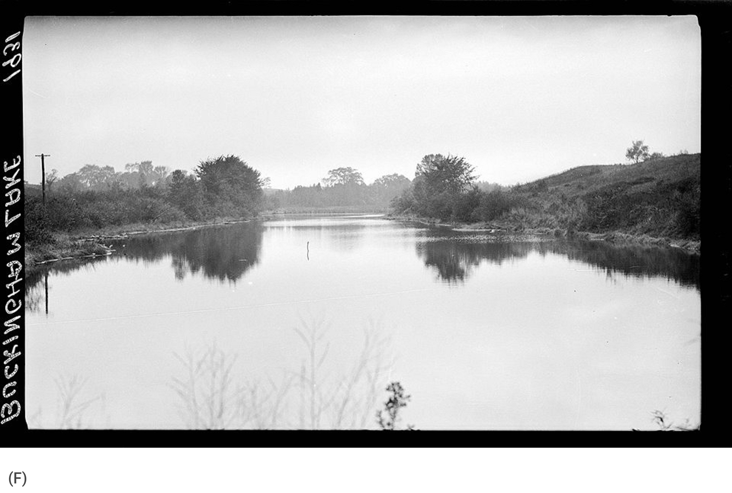 Buckingham Pond 1931, Bureau of Engineering (F)