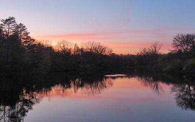 2025 Happy Holidays & Year End Updates